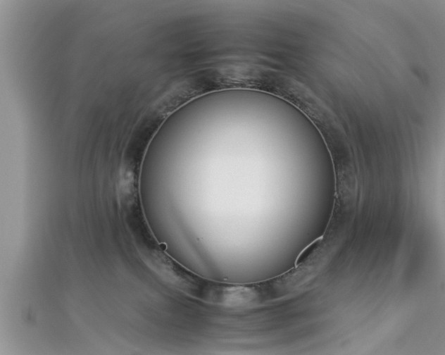 X0000112870087200908281634