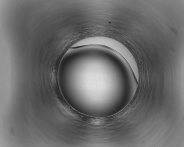 X0000112870088200908281634