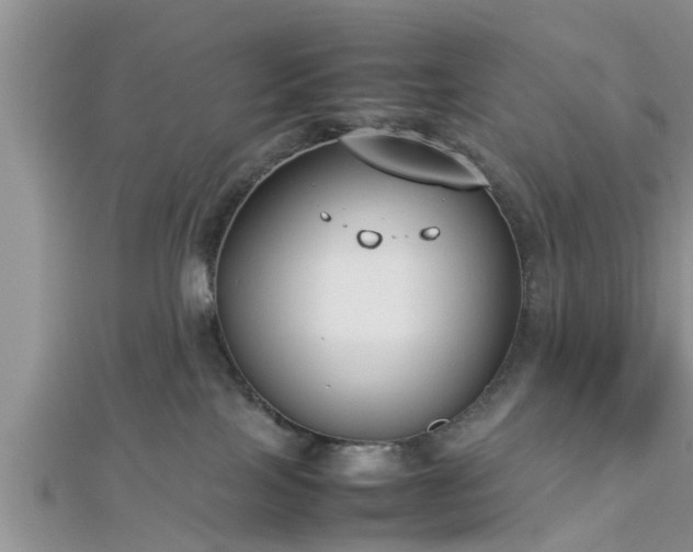 X0000112870089200908281634