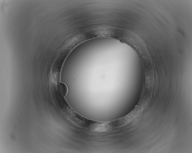 X0000112870093200908281634