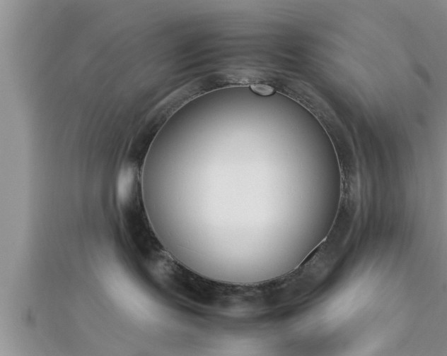 X0000112870095200908281634