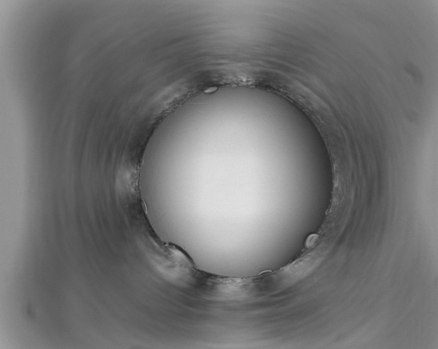 X0000112870096200908281634