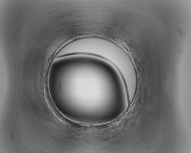 X0000112870097200908281634