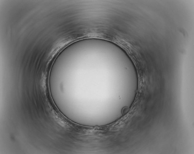 X0000112870098200908281634