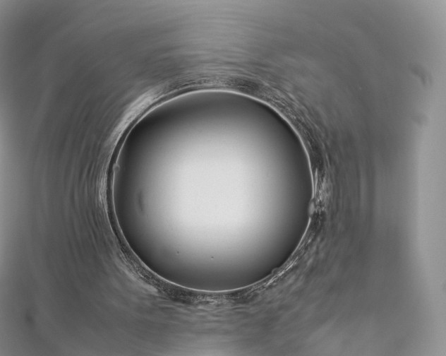 X0000112870099200908281634