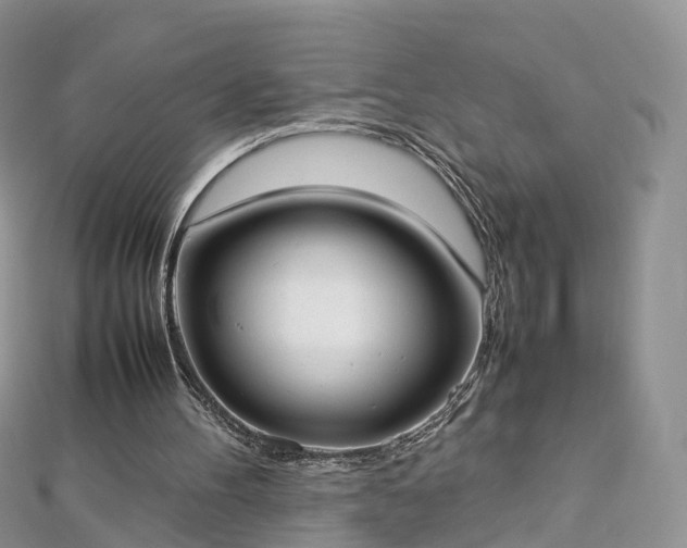 X0000112870100200908281634