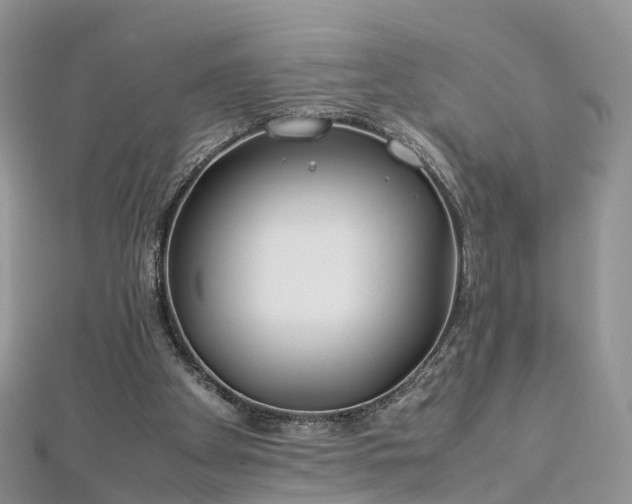 X0000112870105200908281633