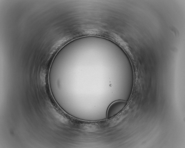 X0000112870106200908281633