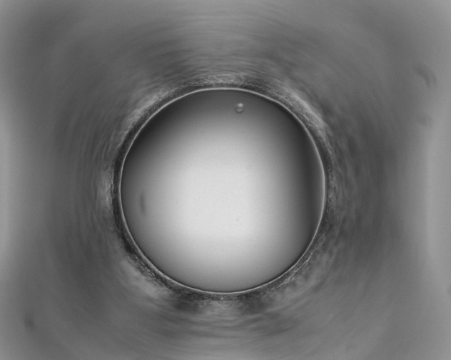 X0000112870107200908281633