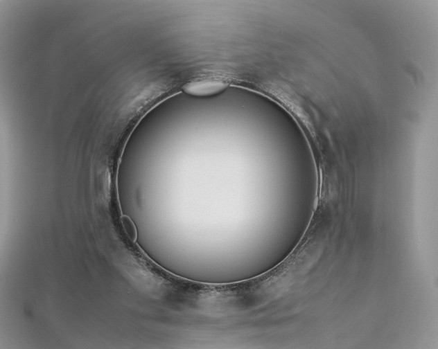 X0000112870109200908281633