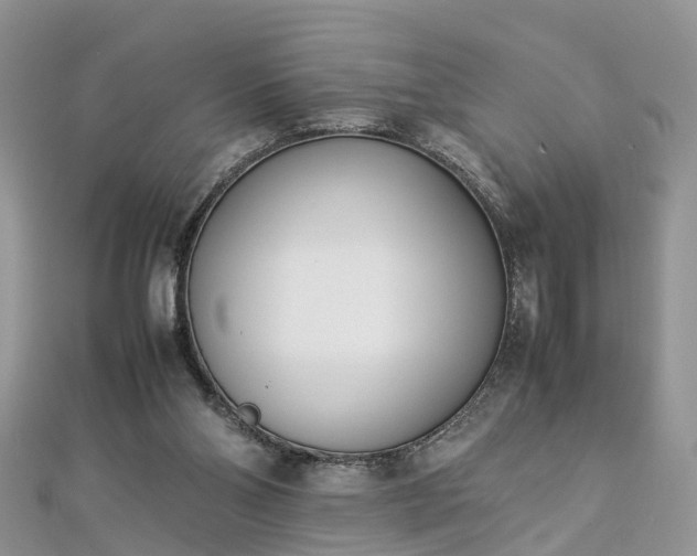 X0000112870110200908281633