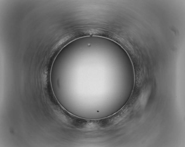 X0000112870111200908281633