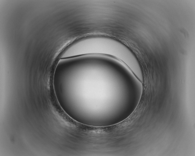 X0000112870112200908281633