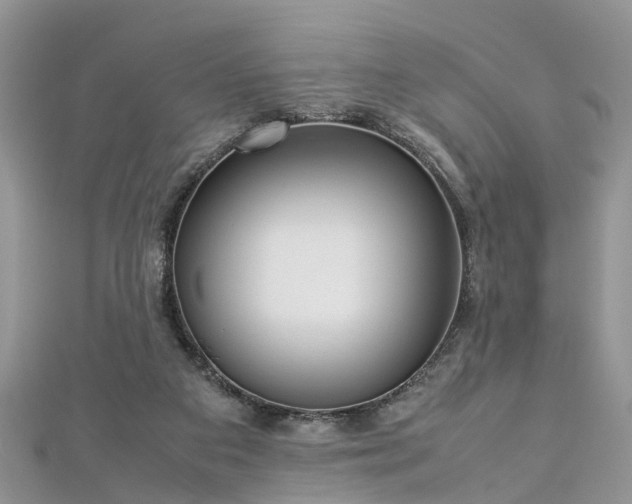 X0000112870113200908281633