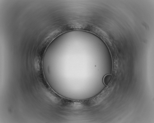 X0000112870114200908281633