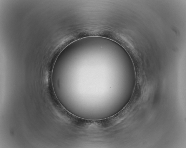 X0000112870115200908281633