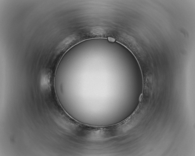 X0000112870116200908281633