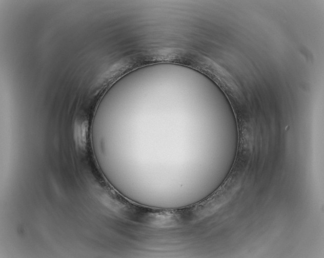 X0000112870118200908281633