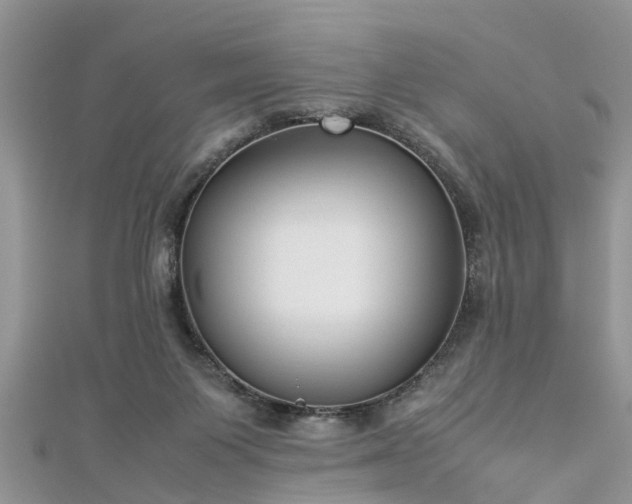 X0000112870119200908281633