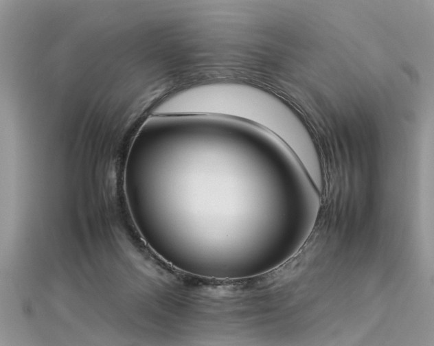 X0000112870120200908281633