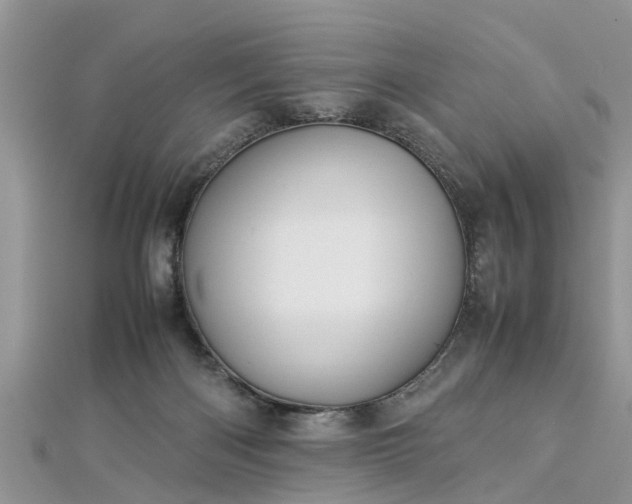 X0000112870122200908281633