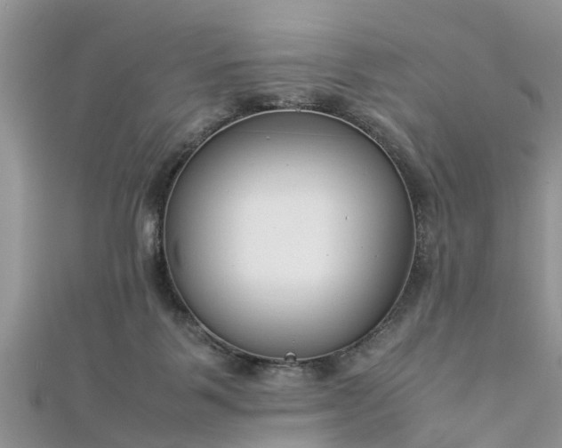 X0000112870123200908281633