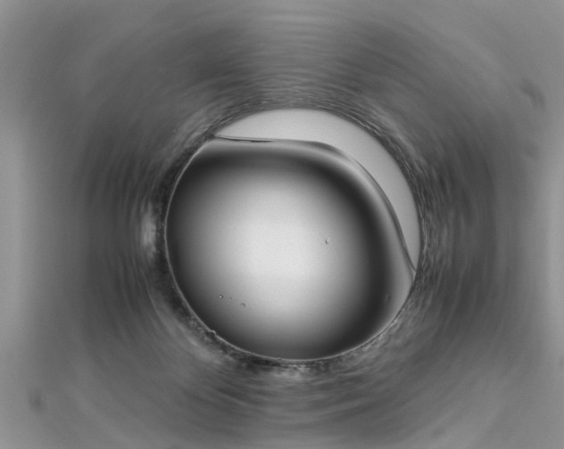 X0000112870124200908281633