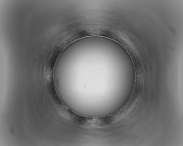 X0000112870125200908281633