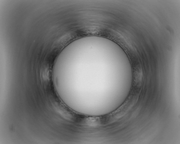 X0000112870126200908281633