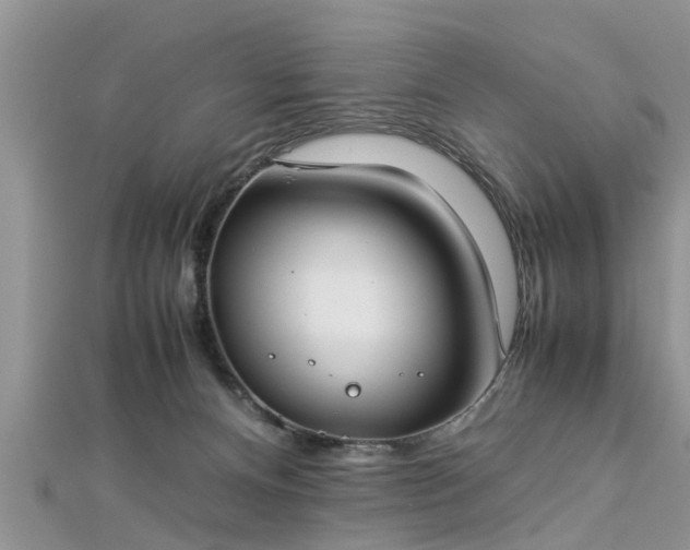 X0000112870128200908281633