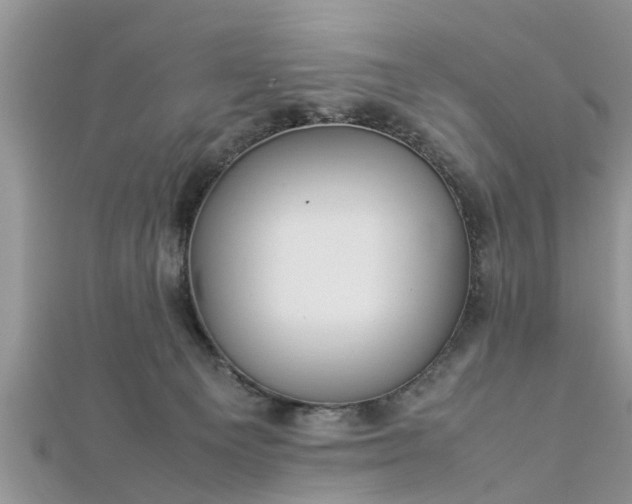 X0000112870129200908281633