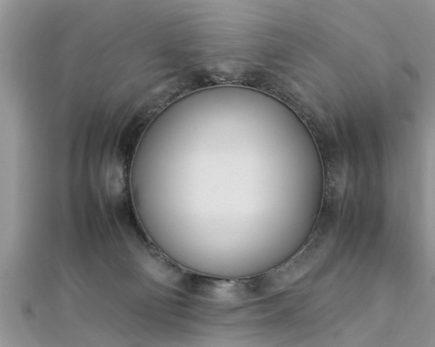 X0000112870130200908281633