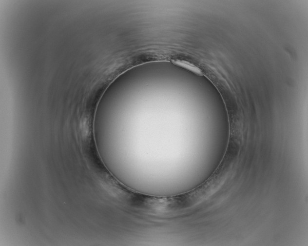 X0000112870131200908281633