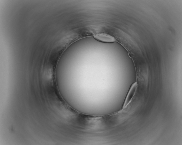 X0000112870132200908281633