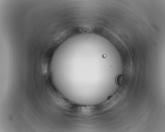 X0000112870134200908281633