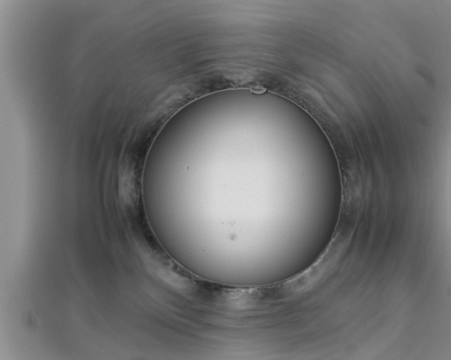 X0000112870136200908281633