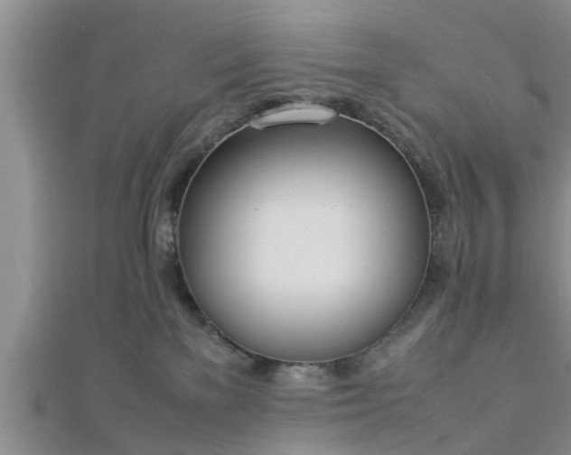 X0000112870137200908281633