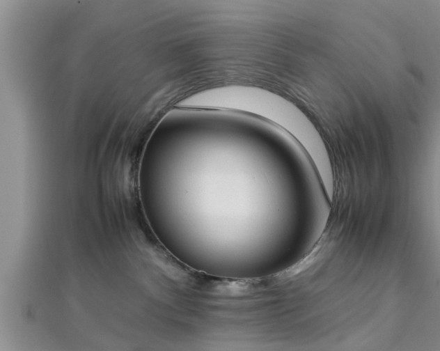 X0000112870140200908281633