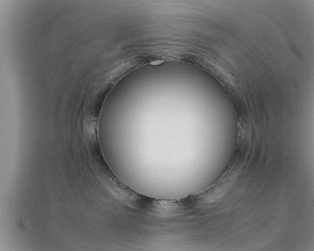 X0000112870141200908281633