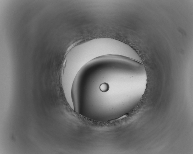 X0000112870144200908281633