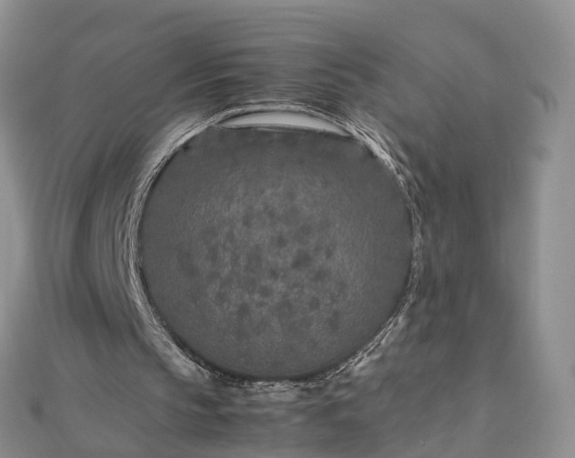 X0000112870145200908281632