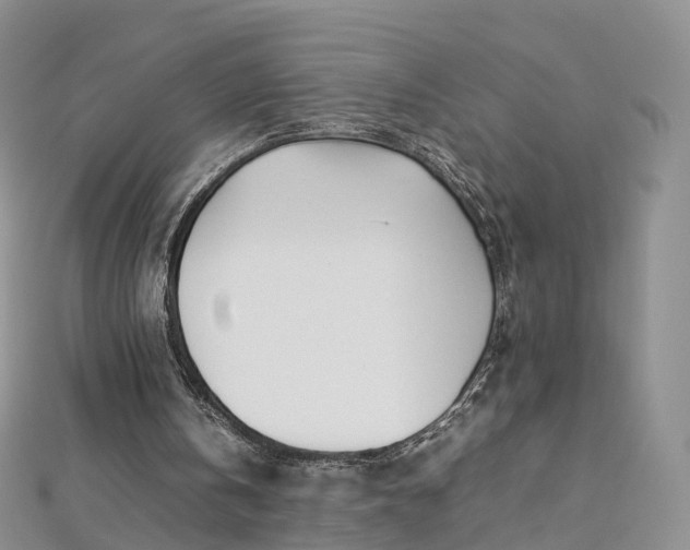 X0000112870146200908281632