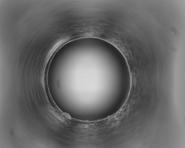 X0000112870147200908281632