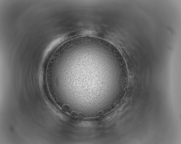 X0000112870149200908281632