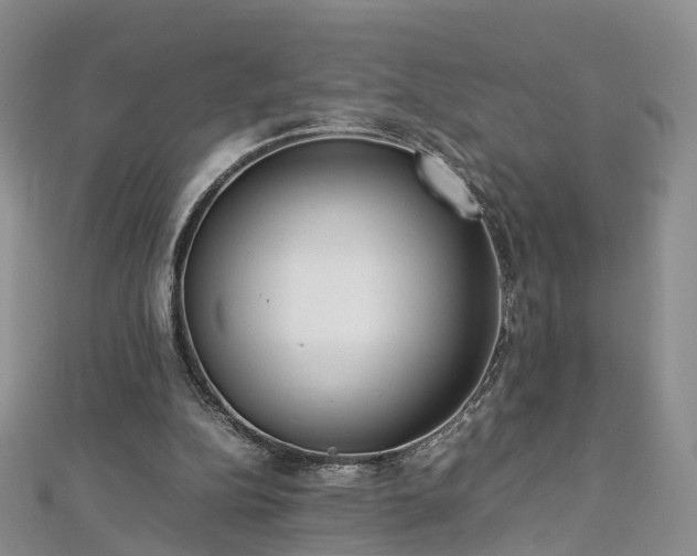 X0000112870152200908281632