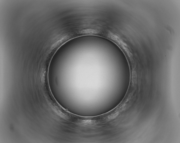 X0000112870153200908281632