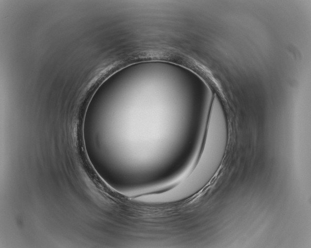 X0000112870154200908281632