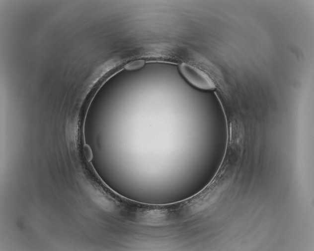 X0000112870156200908281632