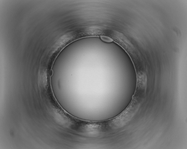 X0000112870158200908281632