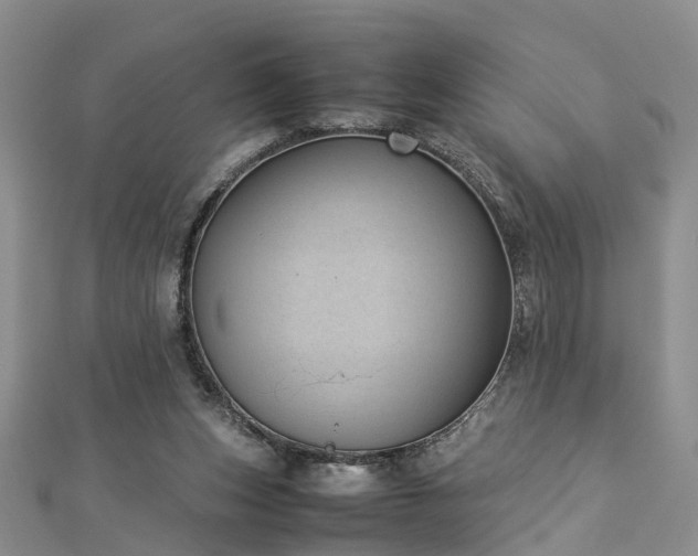 X0000112870159200908281632